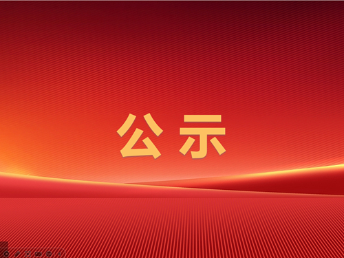 辰龍集團(tuán)安全生產(chǎn)工作報(bào)告